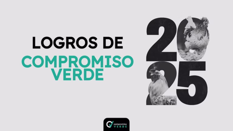 LOGROS 2025 CV portada