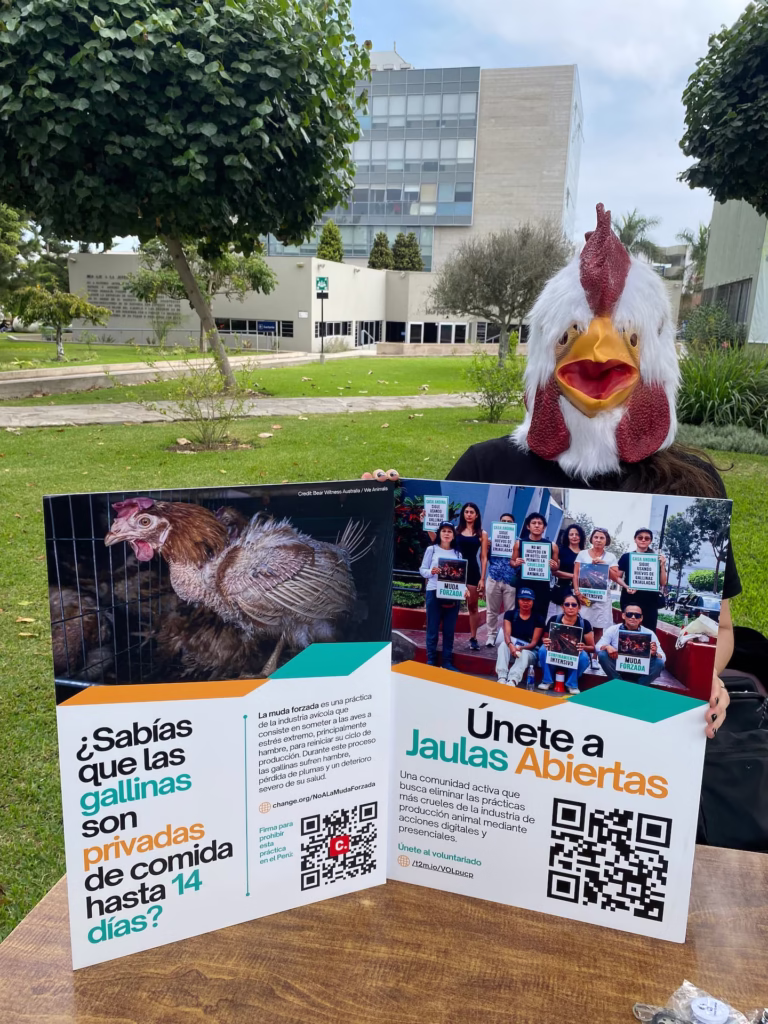 Más de 200 personas se sumaron al debate sobre bienestar animal en nuestra jornada en la PUCP peru