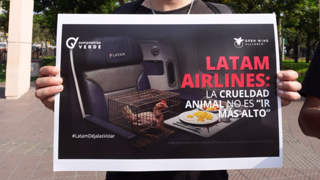 Acción-Latam-2