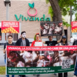 Vivanda firmas Peru huevos libres de jaulas