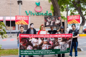 Vivanda firmas Peru huevos libres de jaulas