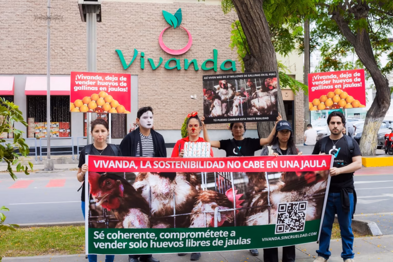 Vivanda firmas Peru huevos libres de jaulas