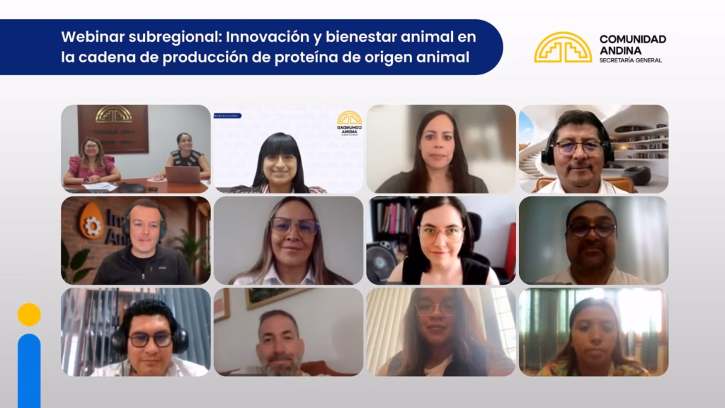 Mosaico de videollamada con ponentes y representantes sanitarios de Bolivia, Colombia, Ecuador y Perú, con el título del evento y el logo de la Comunidad Andina en la parte superior.
