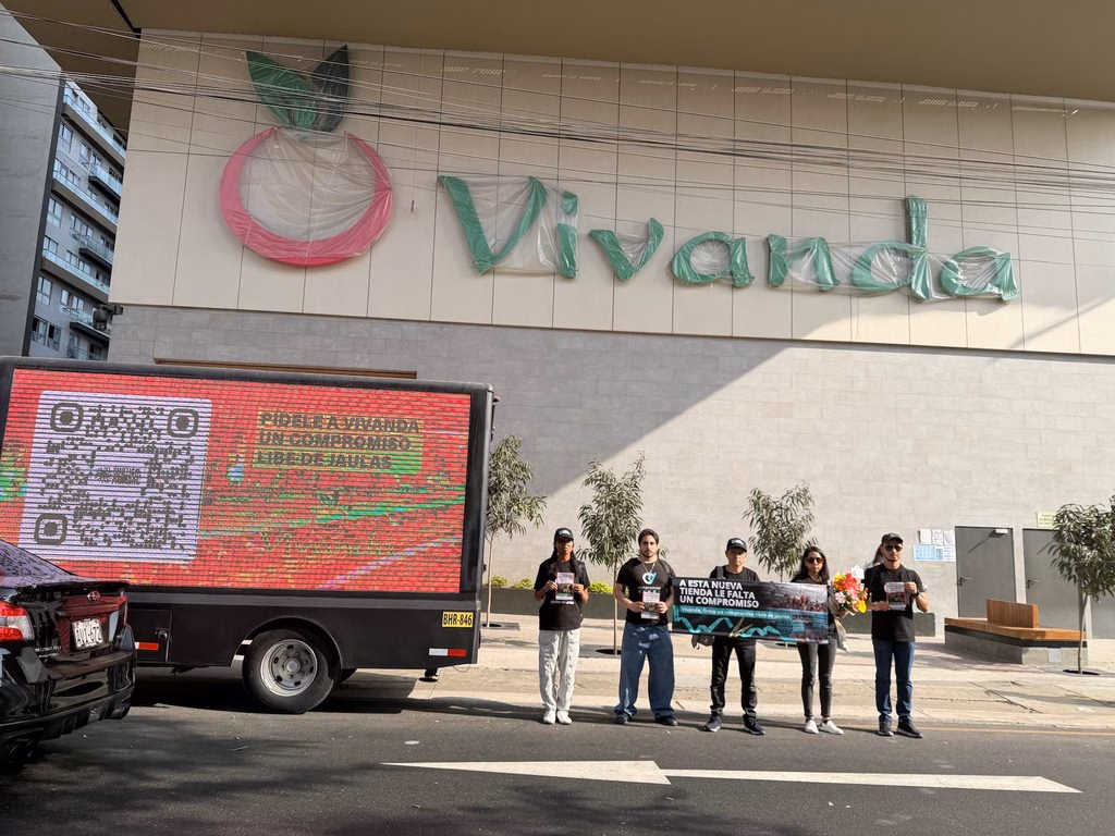 Cuatro activistas sostienen una pancarta frente a un camión con pantalla LED que muestra información sobre gallinas libres de jaulas.